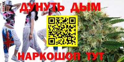 тгк Славгород