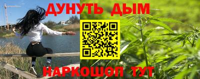 тгк Славгород