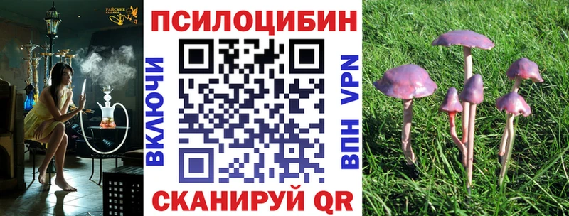 МЕГА ССЫЛКА  Карабулак  Галлюциногенные грибы Psilocybine cubensis 