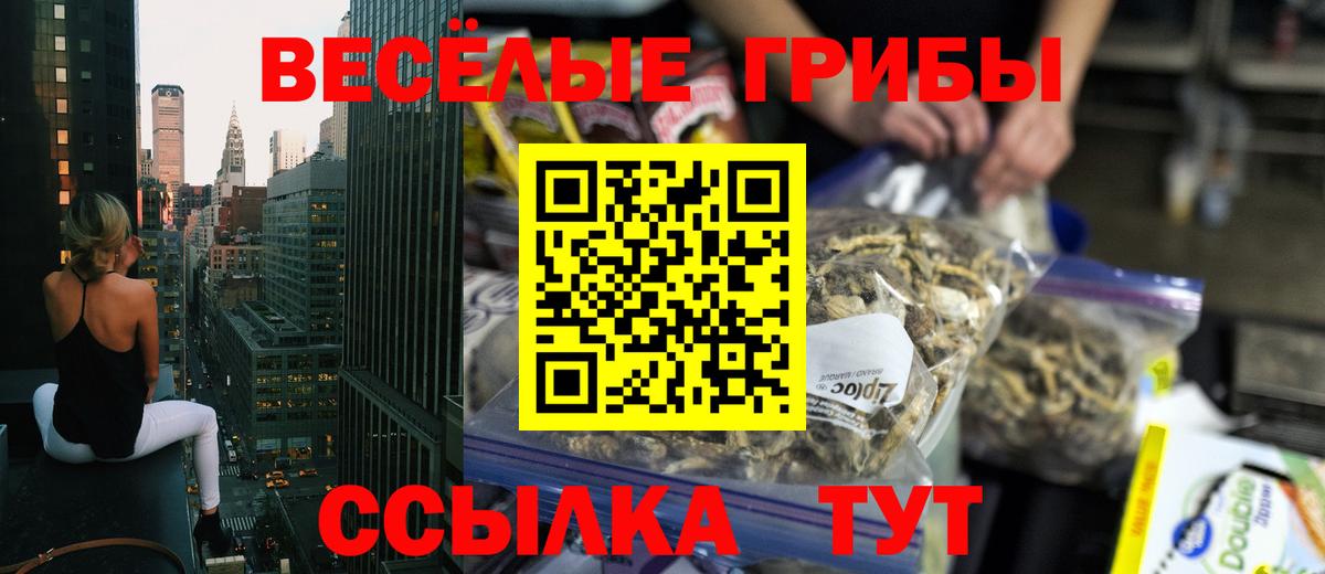 Псилоцибиновые грибы GOLDEN TEACHER Карабулак